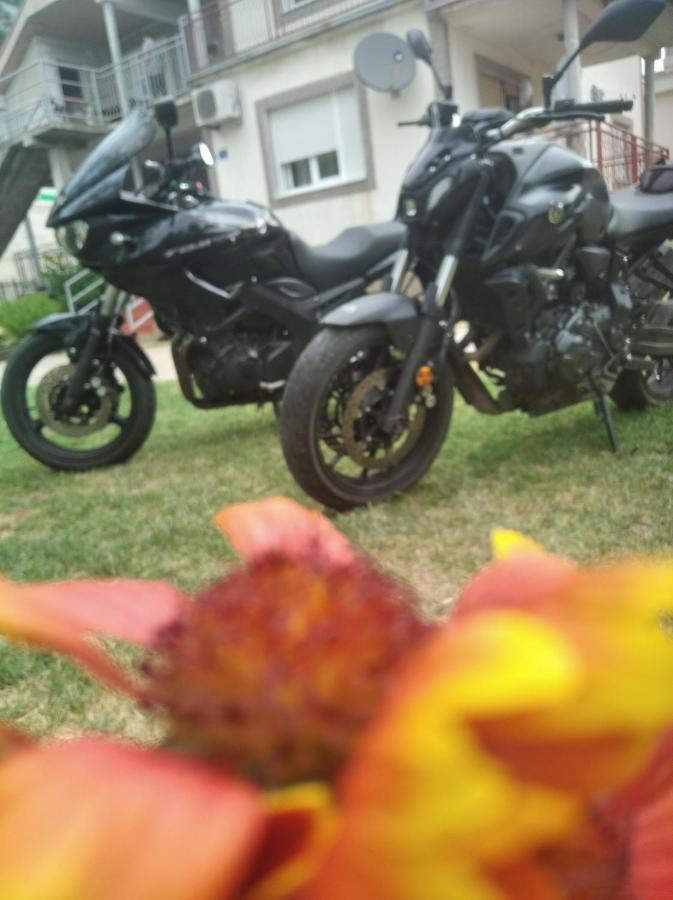 Vila Natalija Zagoric Bagian luar foto