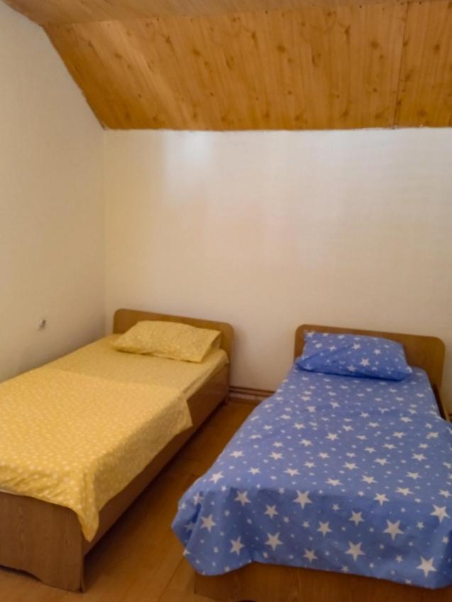 Vila Natalija Zagoric Bagian luar foto