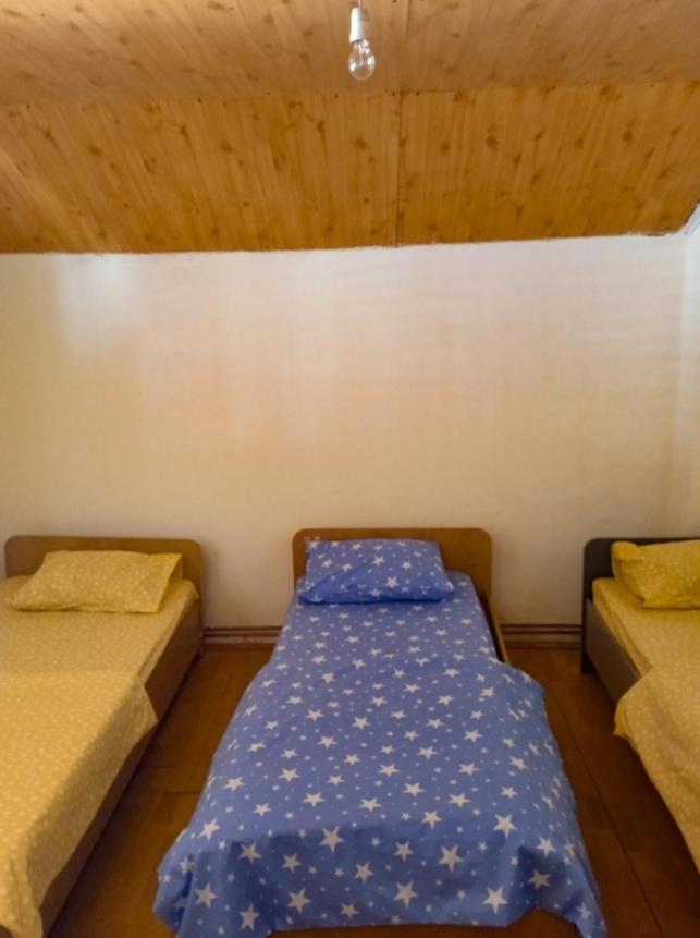 Vila Natalija Zagoric Bagian luar foto